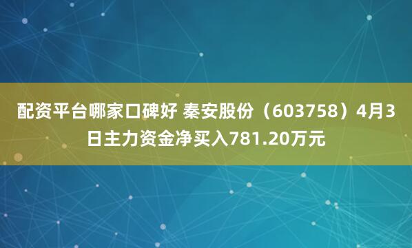 配资平台哪家口碑好 秦安股份（603758）4月3日主力资金净买入781.20万元
