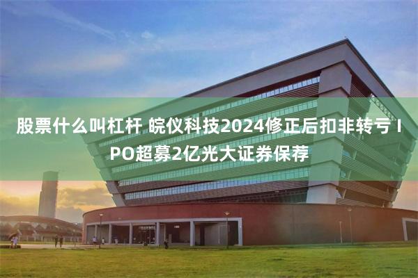 股票什么叫杠杆 皖仪科技2024修正后扣非转亏 IPO超募2亿光大证券保荐