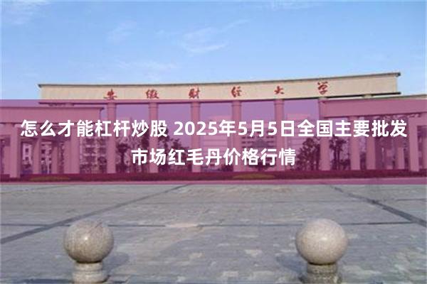 怎么才能杠杆炒股 2025年5月5日全国主要批发市场红毛丹价格行情