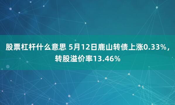 股票杠杆什么意思 5月12日鹿山转债上涨0.33%，转股溢价率13.46%