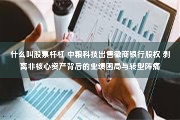 什么叫股票杆杠 中粮科技出售徽商银行股权 剥离非核心资产背后的业绩困局与转型阵痛