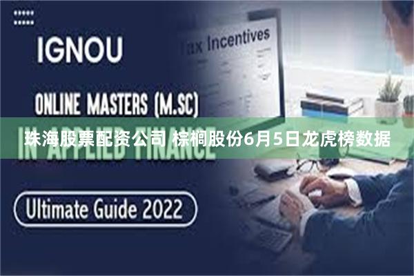 珠海股票配资公司 棕榈股份6月5日龙虎榜数据