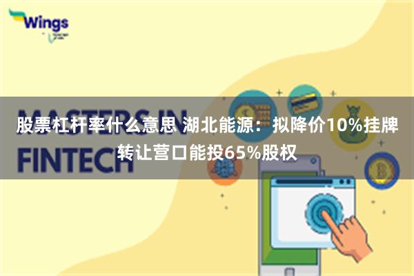 股票杠杆率什么意思 湖北能源：拟降价10%挂牌转让营口能投65%股权