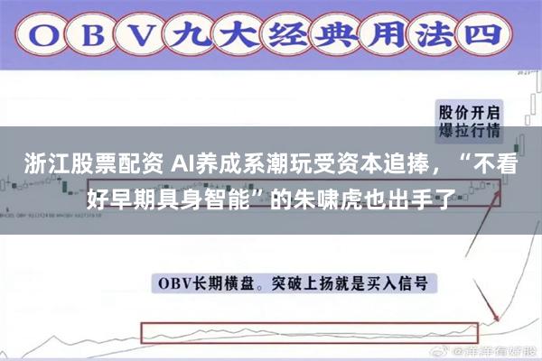 浙江股票配资 AI养成系潮玩受资本追捧，“不看好早期具身智能”的朱啸虎也出手了