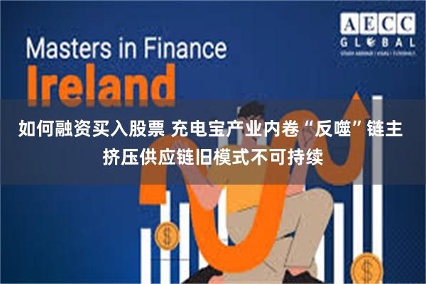 如何融资买入股票 充电宝产业内卷“反噬”链主 挤压供应链旧模式不可持续