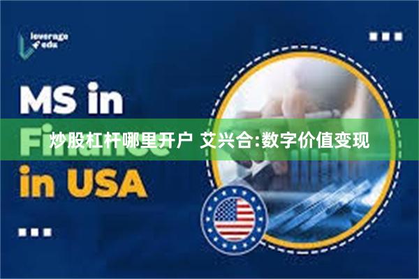 炒股杠杆哪里开户 艾兴合:数字价值变现