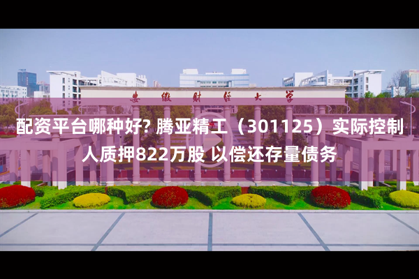 配资平台哪种好? 腾亚精工(301125)实际控制人质押822万股 以偿还存量债务